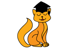 Graduation Cat: A Designer’s Stitch-Out Review