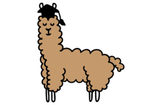 Graduation Llama: A Designer’s Stitch-Out Review