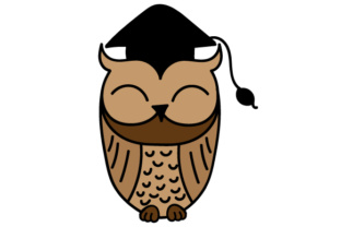 Graduation Owl: A Designer’s Stitch-Out Review