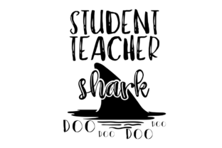 Student Teacher Shark: A Practical Embroidery Review